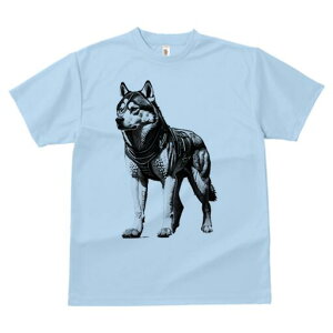 nXL[ TVc  j[NfUCfB[X t@  t vg lJWA 킢 lԗp Mtg I ҏ΍ nXL[