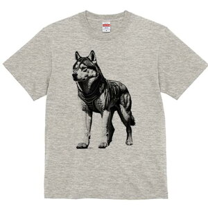 nXL[ TVc  j[NfUCfB[X t@  t vg lJWA 킢 lԗp Mtg I ҏ΍ nXL[