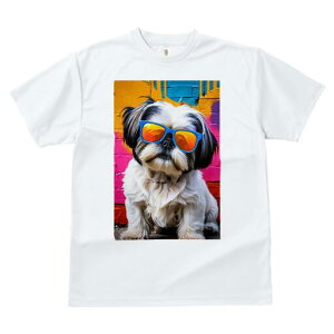 V[Y[ TVc  j[NfUCfB[X t@  t vg lJWA 킢 lԗp Mtg I ҏ΍ V[Y[  TOX Jt OtBeB