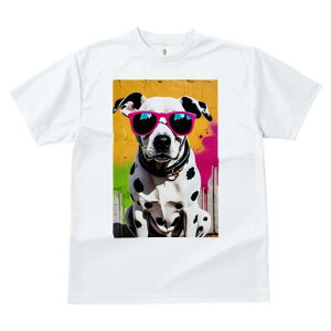 _VA TVc  j[NfUCfB[X t@  t vg lJWA 킢 lԗp Mtg I ҏ΍ _VA TOX N[  t