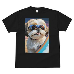 V[Y[ TVc  j[NfUCfB[X t@  t vg lJWA 킢 lԗp Mtg I ҏ΍ TOX V[Y[ T[t{[h r[` [Ă