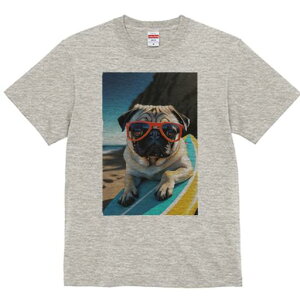 pO TVc  j[NfUCfB[X t@  t vg lJWA 킢 lԗp Mtg I ҏ΍ T[tB pO g T[t{[h TOX