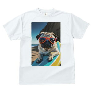 pO TVc  j[NfUCfB[X t@  t vg lJWA 킢 lԗp Mtg I ҏ΍ T[tB pO g T[t{[h TOX