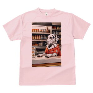 pO TVc  j[NfUCfB[X t@  t vg lJWA 킢 lԗp Mtg I ҏ΍ T[tB pO g T[t{[h TOX