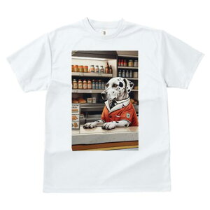 pO TVc  j[NfUCfB[X t@  t vg lJWA 킢 lԗp Mtg I ҏ΍ T[tB pO g T[t{[h TOX