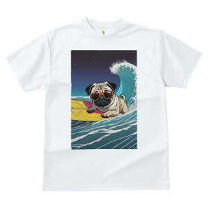 pO TVc  j[NfUCfB[X t@  t vg lJWA 킢 lԗp Mtg I ҏ΍ T[tB pO T[t{[h g C TOX