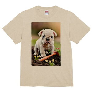 pO TVc  j[NfUCfB[X t@  t vg lJWA 킢 lԗp Mtg I ҏ΍ T[tB pO T[t{[h g C TOX