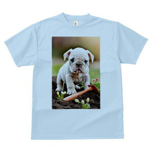 pO TVc  j[NfUCfB[X t@  t vg lJWA 킢 lԗp Mtg I ҏ΍ T[tB pO T[t{[h g C TOX