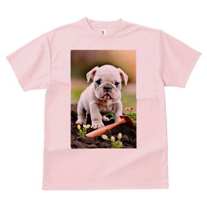 pO TVc  j[NfUCfB[X t@  t vg lJWA 킢 lԗp Mtg I ҏ΍ T[tB pO T[t{[h g C TOX