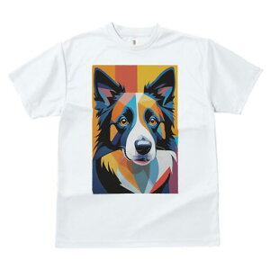 pO TVc  j[NfUCfB[X t@  t vg lJWA 킢 lԗp Mtg I ҏ΍ T[tB pO T[t{[h g C TOX