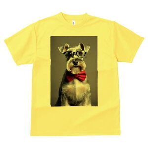 ~j`AViEU[ TVc  j[NfUCfB[X t@  t vg lJWA 킢 lԗp Mtg I ҏ΍ ዾ ~j`AViEU[ 