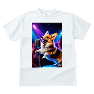 R[M[ TVc  j[NfUCfB[X t@  t vg lJWA 킢 lԗp Mtg I ҏ΍ R[M[  }CN Xe[WCg RT[g 