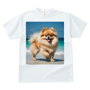 |jA TVc  j[NfUCfB[X t@  t vg lJWA 킢 lԗp Mtg I ҏ΍ r[` |jA C  l g