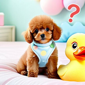 Aq̂ʂ gCv[h xbh JtȔwi NbVJo[  45×45cm Aj}   NbV{̕t `