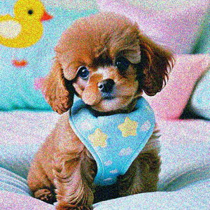 Aq̂ʂ gCv[h NbV n[lX NbVJo[  45×45cm Aj}   NbV{̕t `