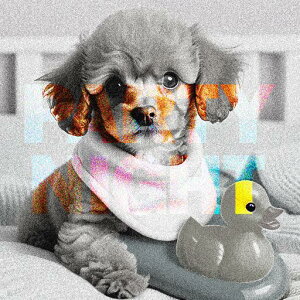 Aq̂ v[h p[eB[iCg NbVJo[  45×45cm Aj}   NbV{̕t `