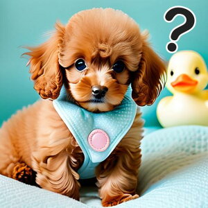 Aq̂ gCv[h NGX`}[N wi NbVJo[  45×45cm Aj}   NbV{̕t `