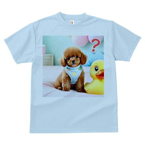 TVc Y LbY t@  t vg JWA 킢 lԗp tBbglX }b` Aq̂ʂ gCv[h xbh JtȔwi