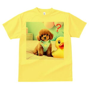 TVc Y LbY t@  t vg JWA 킢 lԗp tBbglX }b` Aq̂ʂ gCv[h xbh JtȔwi