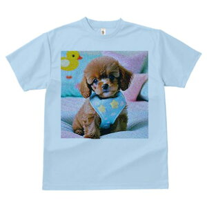 TVc Y LbY t@  t vg JWA 킢 lԗp tBbglX }b` Aq̂ʂ gCv[h NbV n[lX