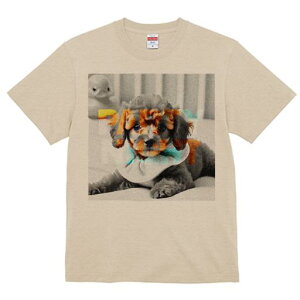 TVc Y LbY t@  t vg JWA 킢 lԗp tBbglX }b`  gCv[h p[eB[  xbh Aq̂ʂ