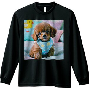 Aq̂ʂ gCv[h NbV n[lX TVc lԗp Y Ht vg W[ AEghA JWA 킢