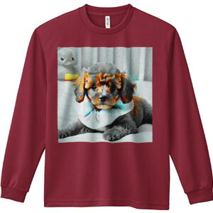  gCv[h p[eB[  xbh Aq̂ʂ TVc lԗp Y Ht vg W[ AEghA JWA 킢