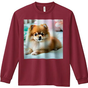 xbh |jA ʂ Jt 킢 ₳ TVc lԗp Y Ht vg W[ AEghA JWA