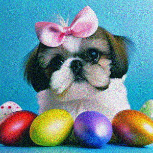  V[Y[ { NbVJo[ 45×45cm Aj}   NbV{̕t ` t@