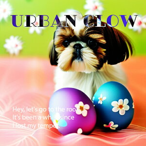 �C�[�X�^�[�G�b�O �V�[�Y�[ �� URBAN CLOW �N�b�V�����J�o�[ 45×45cm �A�j�}���� ������� ���� �N�b�V�����{�̕t�� �����` ���t�@��