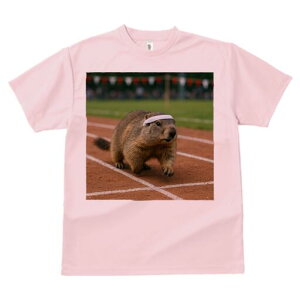 TVc }[bg ObY Mtg j[NfUC fB[X  t vg ҏ΍ lԗp JWA ㋣Z wbhoh ^