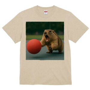 TVc }[bg ObY Mtg j[NfUC fB[X  t vg ҏ΍ lԗp JWA {[