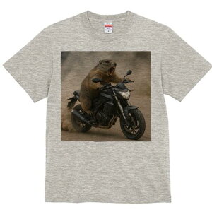 TVc }[bg ObY Mtg j[NfUC fB[X  t vg ҏ΍ lԗp JWA oCN