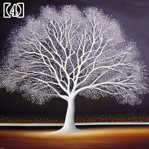 ^bgNX tarot 肢 _I ̎ e[uNX ^yXg[  Ւd Bewi ` ObY ANZT[ 킢