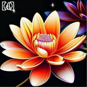 ^yXg[ ^bgNX a Ւd `   A