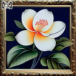 ^yXg[ ^bgNX a A Ւd `   A 