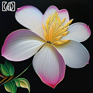 ^yXg[ ^bgNX {^jJ Ւd `   a A