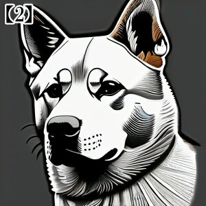 ^bgNX ^yXg[ tarot  SVbN Ւd  ubN Č 