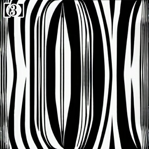 ^bgNX ^yXg[ 唻 40cm~180cm Ւd ` Vv mN  ubN f