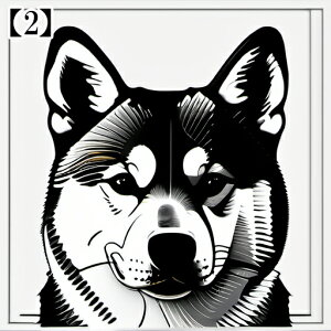 �^���b�g�N���X �^�y�X�g���[ tarot ���� �Ւd �� �u���b�N �Č� ���� ���� ���m�N�� ����