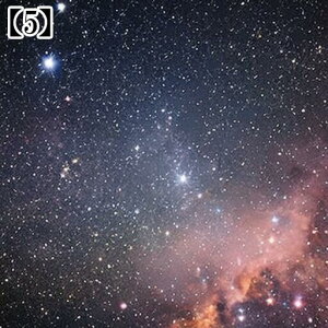 ^bgNX     ߁`唻 SVbN 킢  O  肢 ObY ^yXg[ ʕ