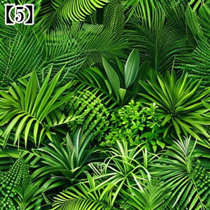 ^bgNX ^yXg[  Jt[W  K  A {^jJ A