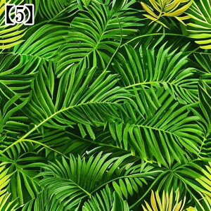 ^bgNX ^yXg[  Jt[W ʕ K  A {^jJ A