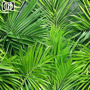 ^bgNX ^yXg[  Jt[W ʕ K  A {^jJ A