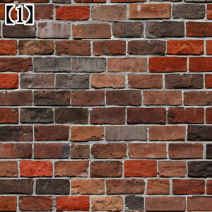 ^yXg[ ^bgNX  Jt[W ʕ K  A {^jJ A