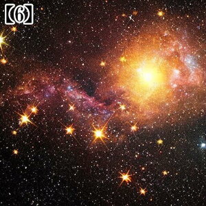 ^bgNX  ubN ^yXg[    Ւd F 肢 ObY Vv 