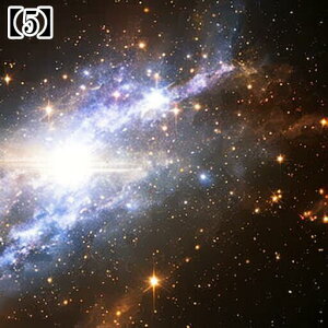 ^bgNX     ߁`唻 SVbN 킢  O  肢 ObY ^yXg[ ʕ