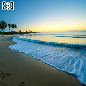 ^yXg[ CeA  C CO T[t nC l I[Vr[ ][g Ri ^bgNX  Bewi