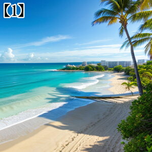 ^yXg[ CeA  C CO T[t nC I[Vr[ ][g Ri  ^bgNX  Bewi