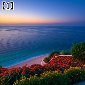 ^yXg[ CeA  C [bp CO l I[Vr[ ][g Ri ^bgNX  Bewi